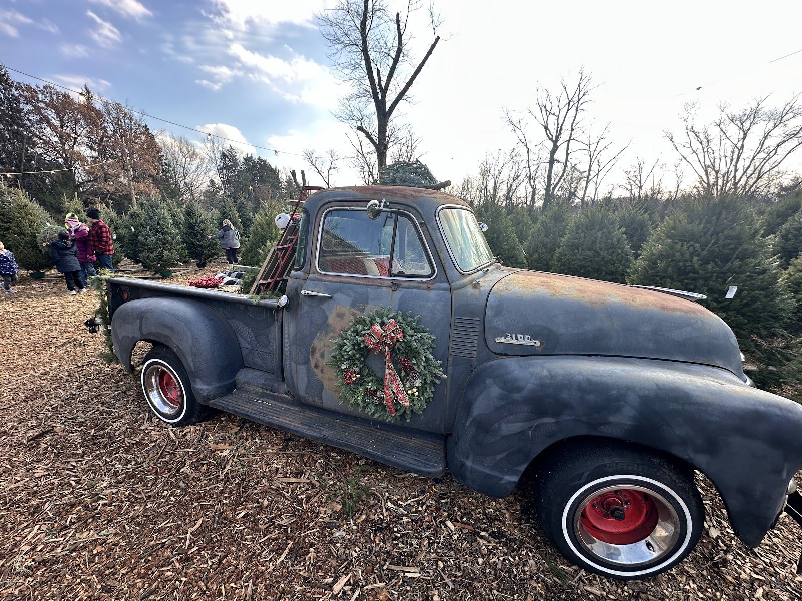 A Christmas tree loaded at Carroll's Christmas Tree Farm in New Jersey