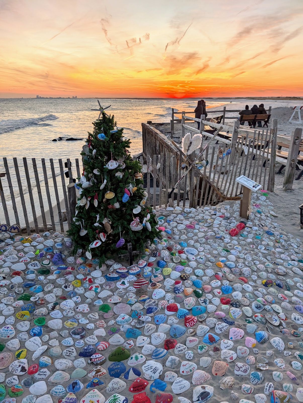 Coastal Christmas tree installation used to explain dune restoration programs