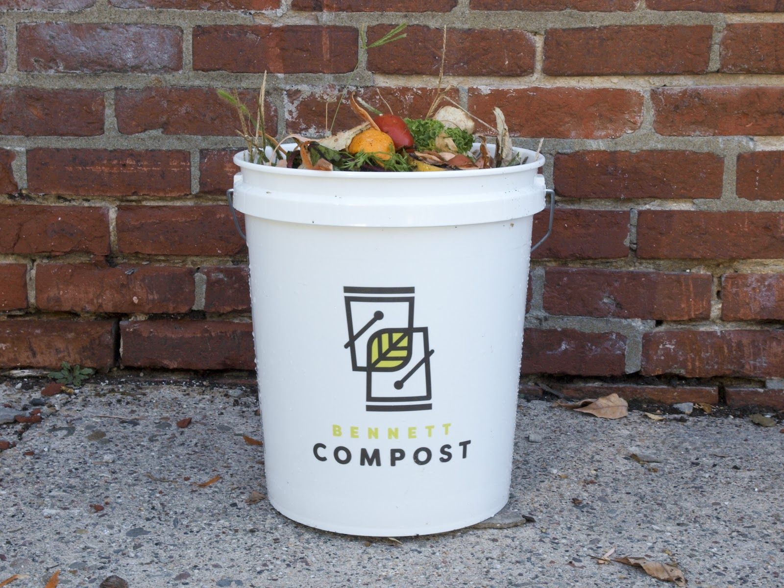 Eco-Friendly Christmas Tree Disposal: A Post-Holiday Guide
