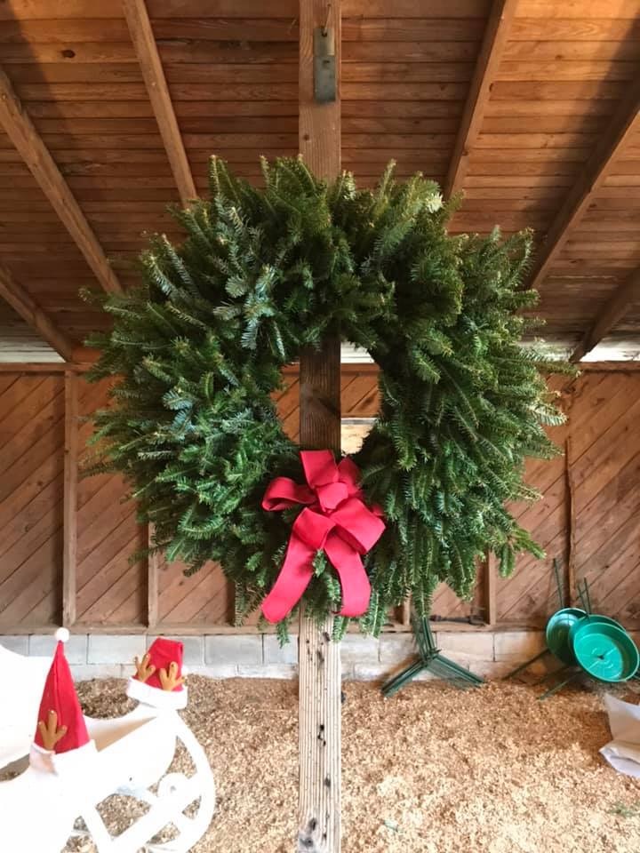3 Guys Tree Farm in Garner, North Carolina