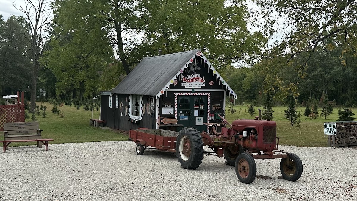 7P TREES - Pieton's - Christmas Tree Farm in Hubbard, Ohio