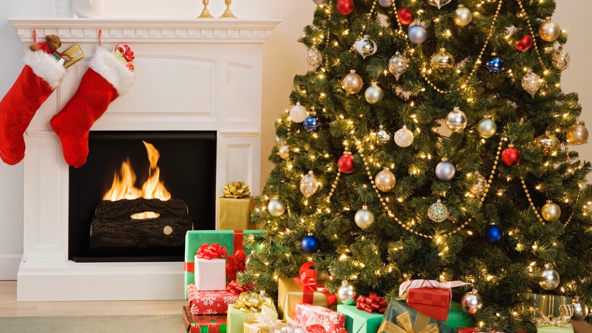 AA Christmas Trees in Brooklyn, New York