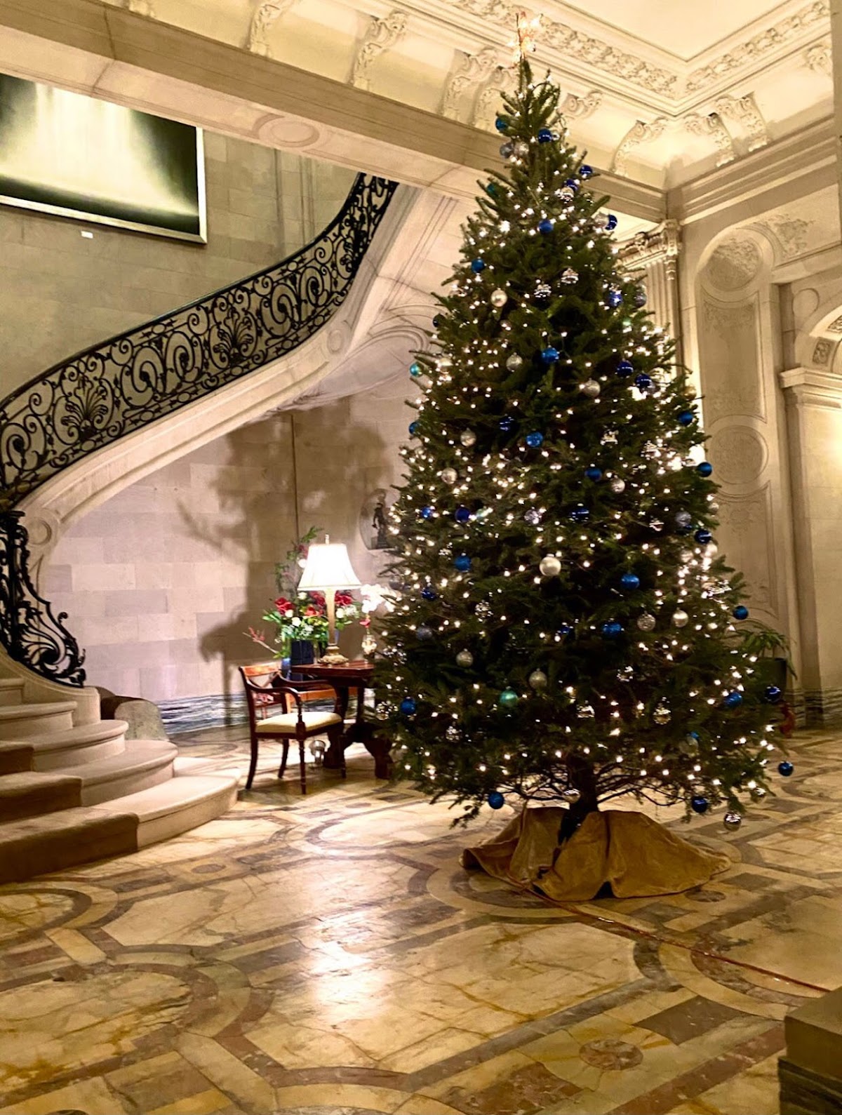 AA Christmas Trees in New York, New York