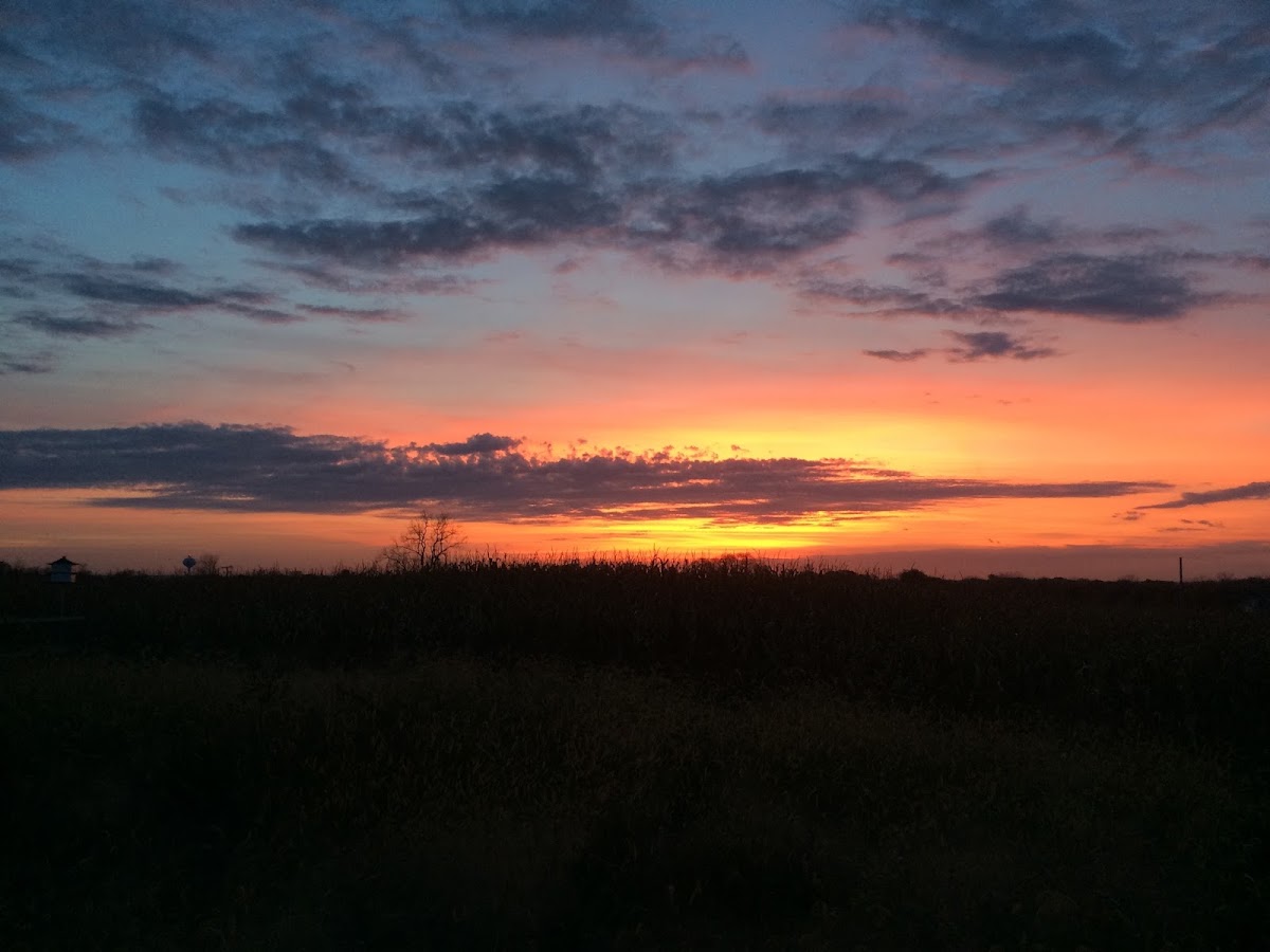 Abbey Farms in Aurora, Illinois
