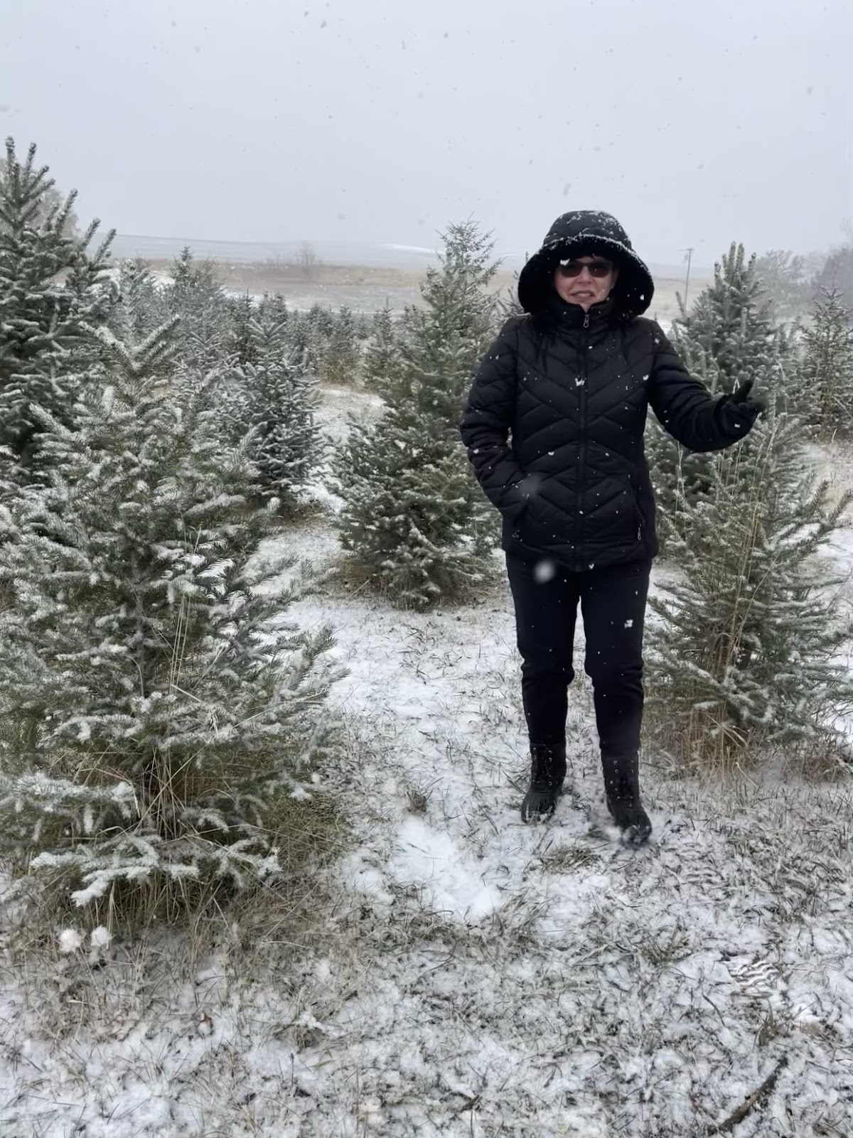 Adam's Acres Tree Farm in Mendon, Utah