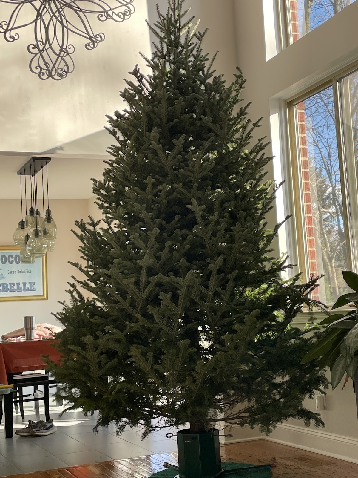 Addison Oaks Christmas Tree Farm in Oakland Township, Michigan