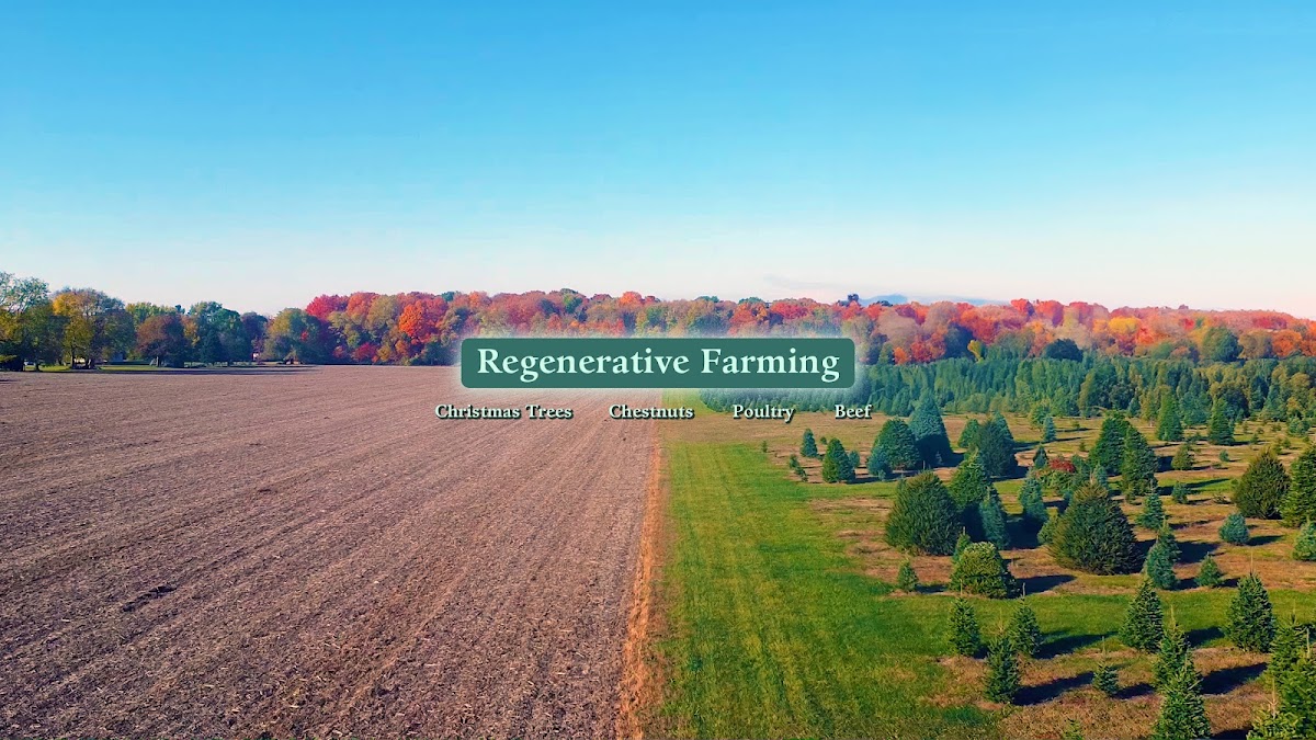 Advent Christmas Tree Farm, LLC in Englewood, Ohio