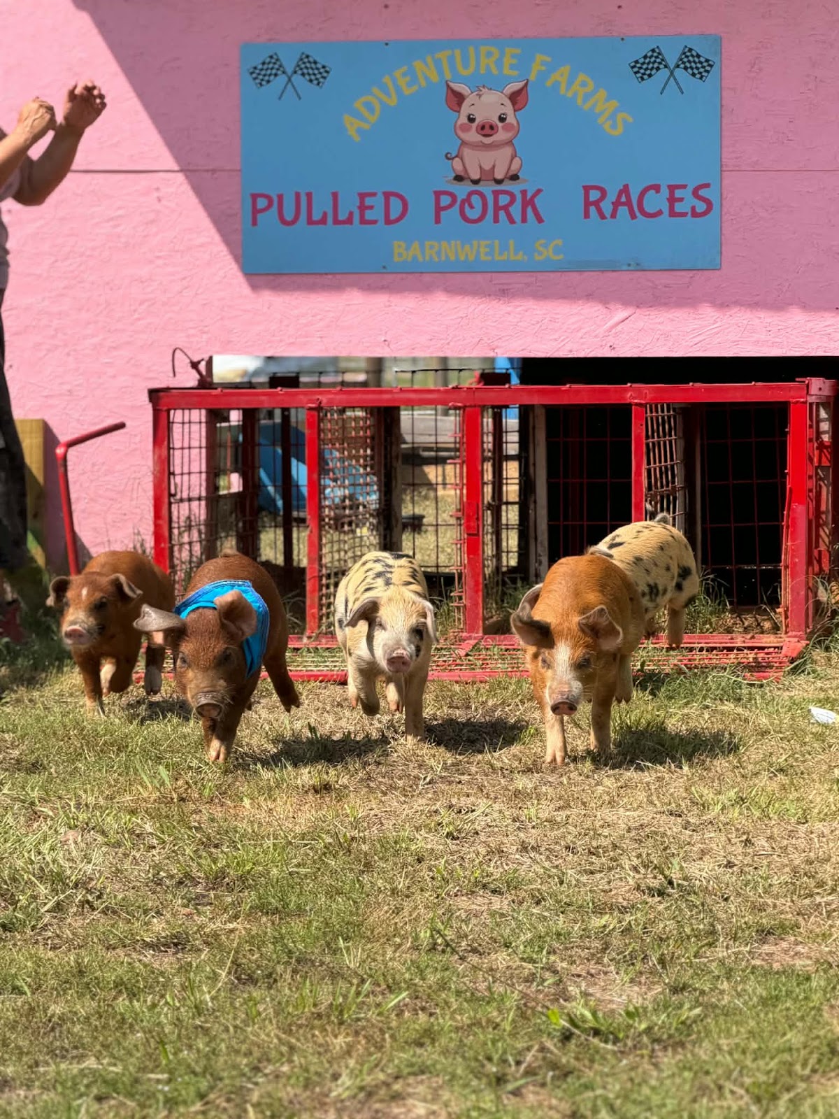 Adventure Farms SC in Barnwell, South Carolina