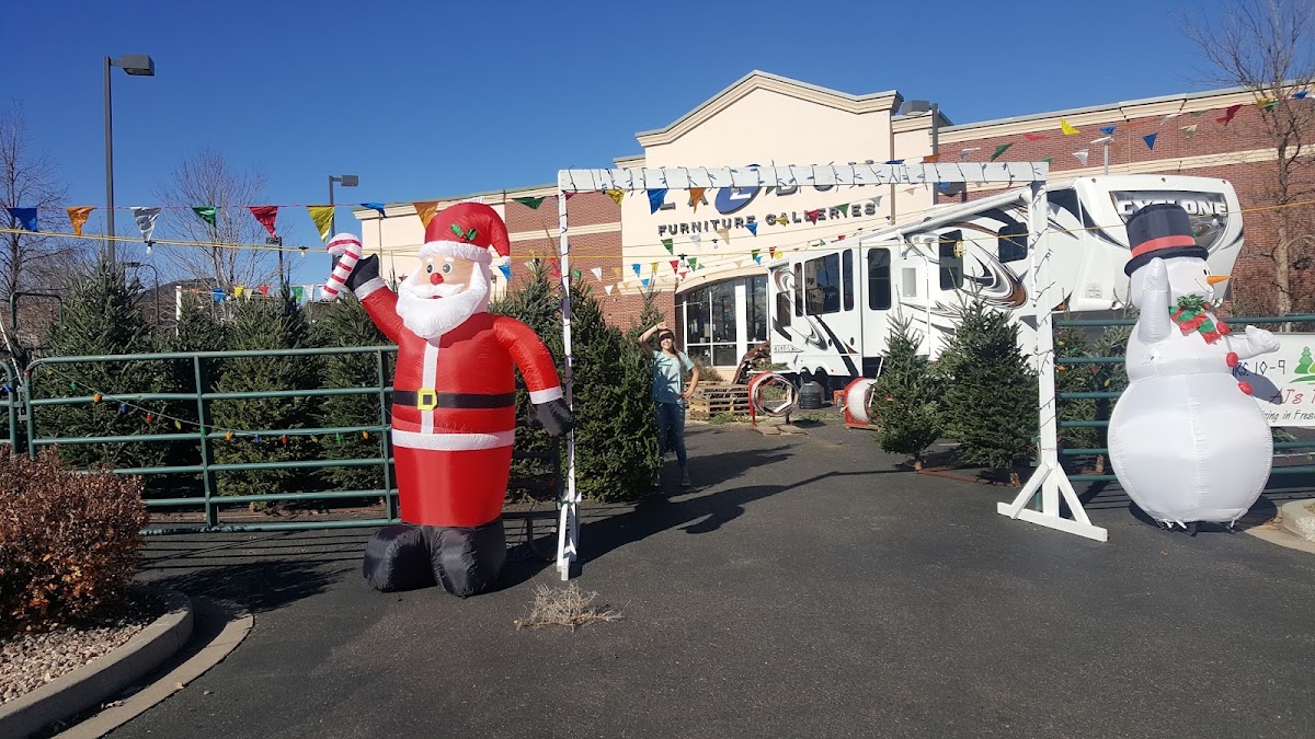 AJ's Christmas Trees in Fort Collins, Colorado