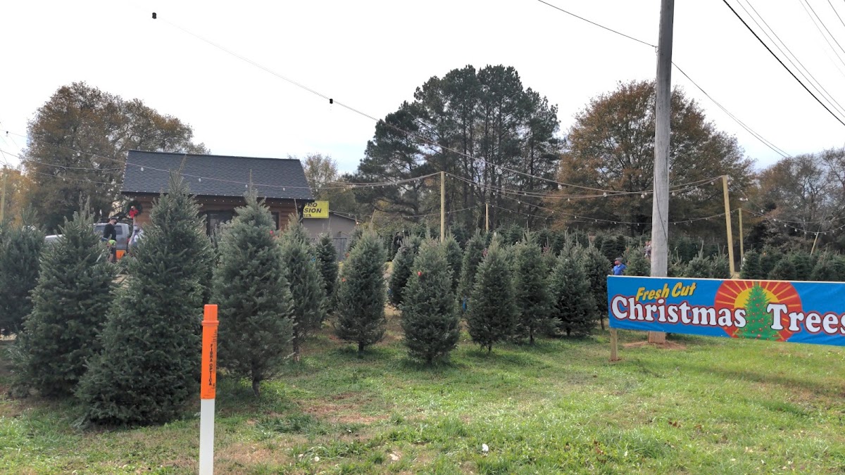 Alan's Christmas Trees in Smyrna, Georgia
