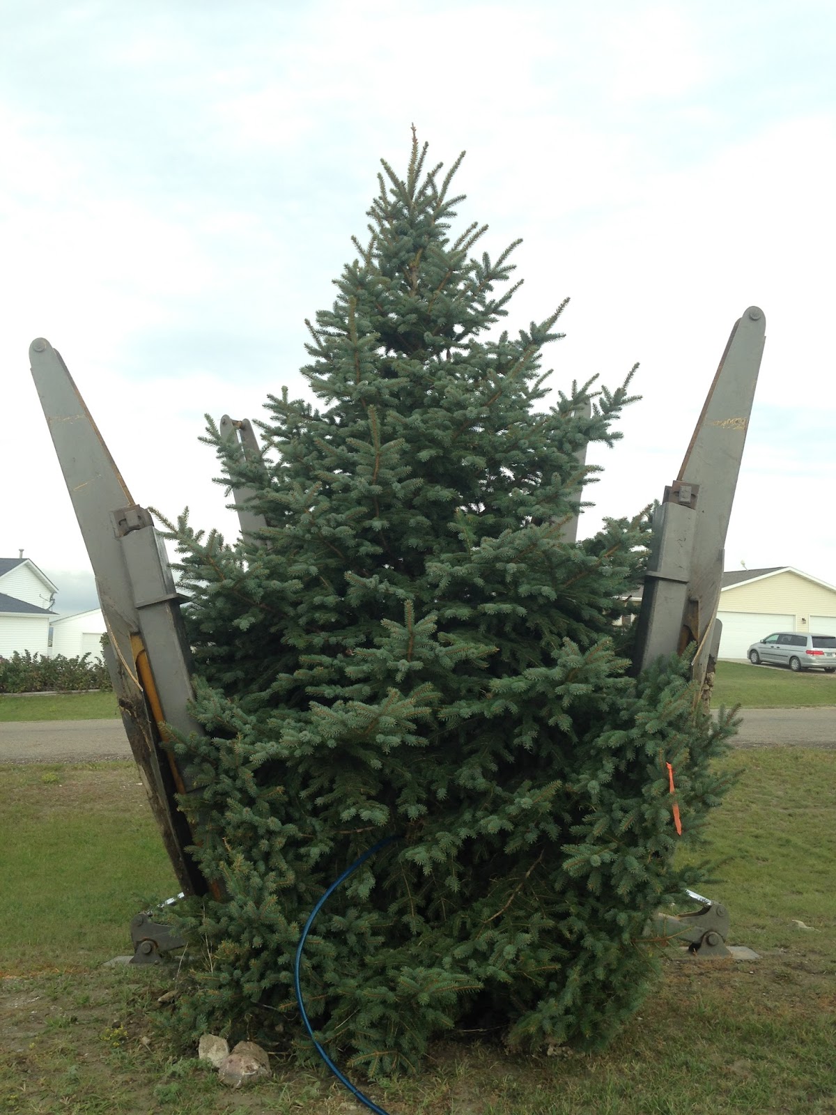 All American Tree Movers and Nursery LLC in Bismarck, North Dakota