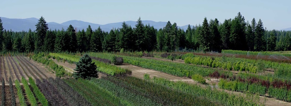 Apple Creek Propagators in Bonners Ferry, Idaho