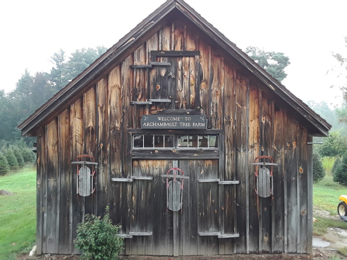 Archambault Christmas Tree Farm in Newmarket, New Hampshire