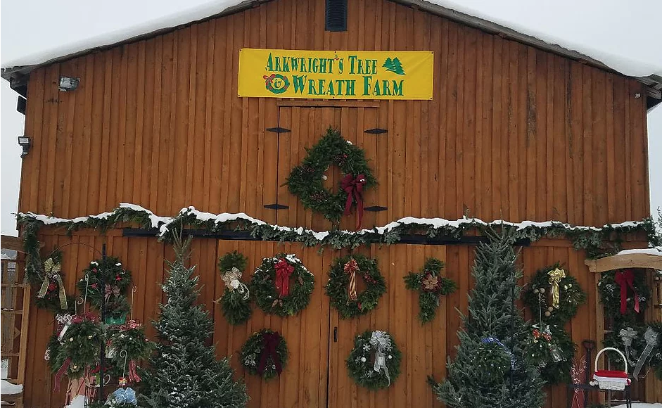 Arkwright's Tree & Wreath Farm in Cranesville, Pennsylvania
