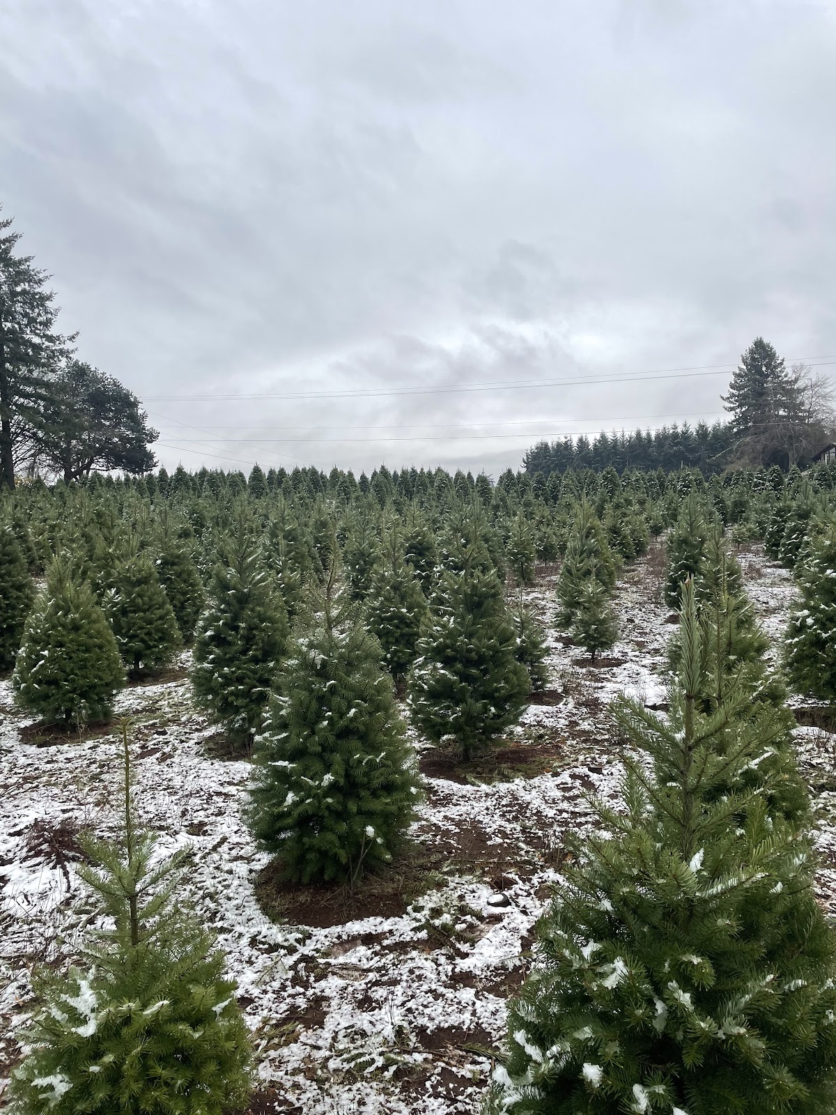 Austens' Farm in Oregon City, Oregon