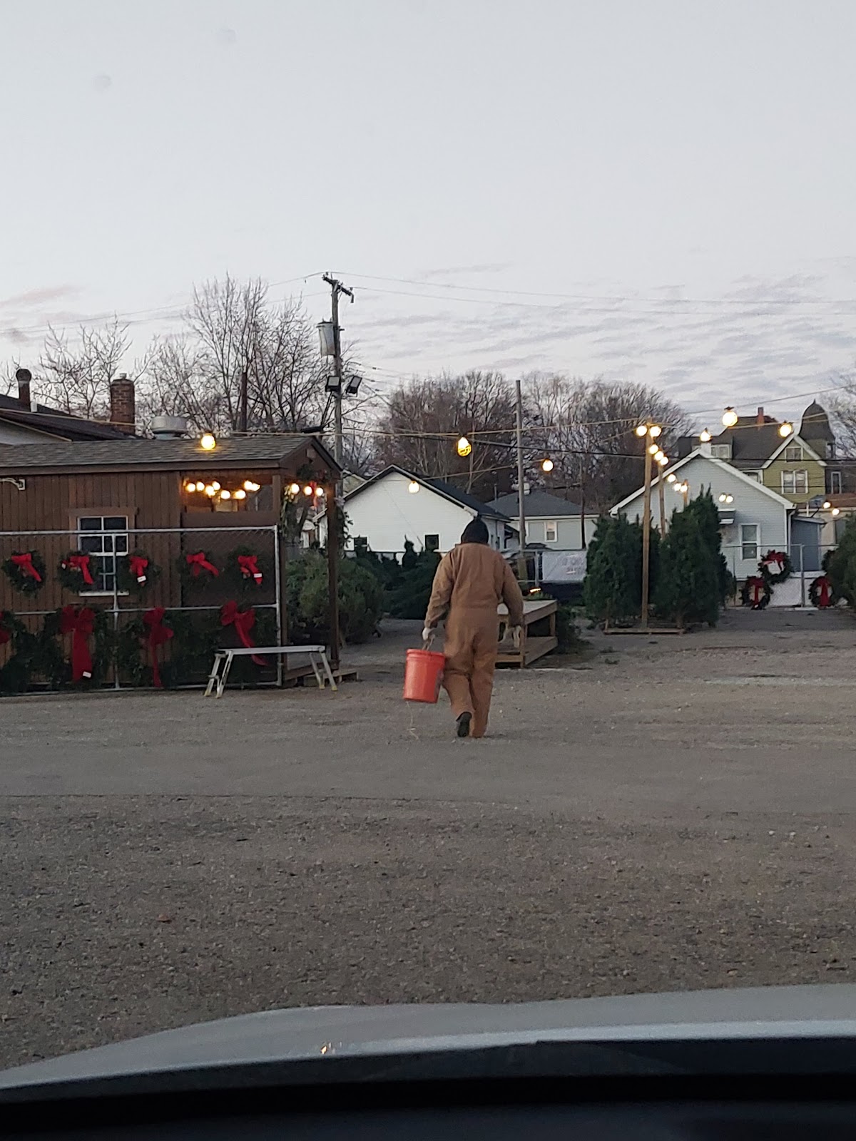 B & B Christmas Trees in Ottawa, Illinois