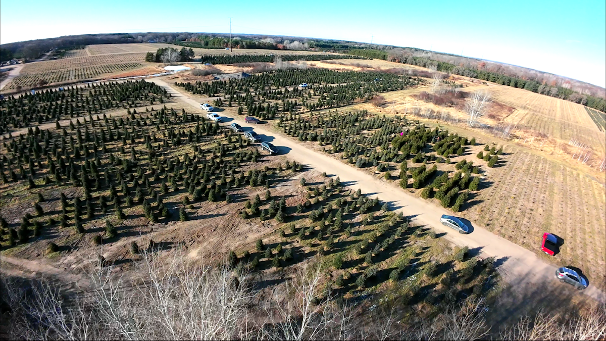 B&J Evergreen Christmas Trees - Clear Lake in Clear Lake, Minnesota