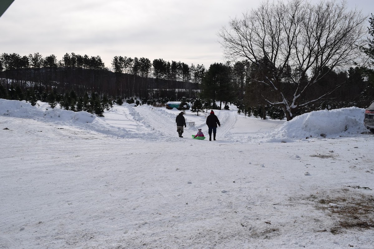 Bakersfield Tree Farm in Bakersfield, Vermont