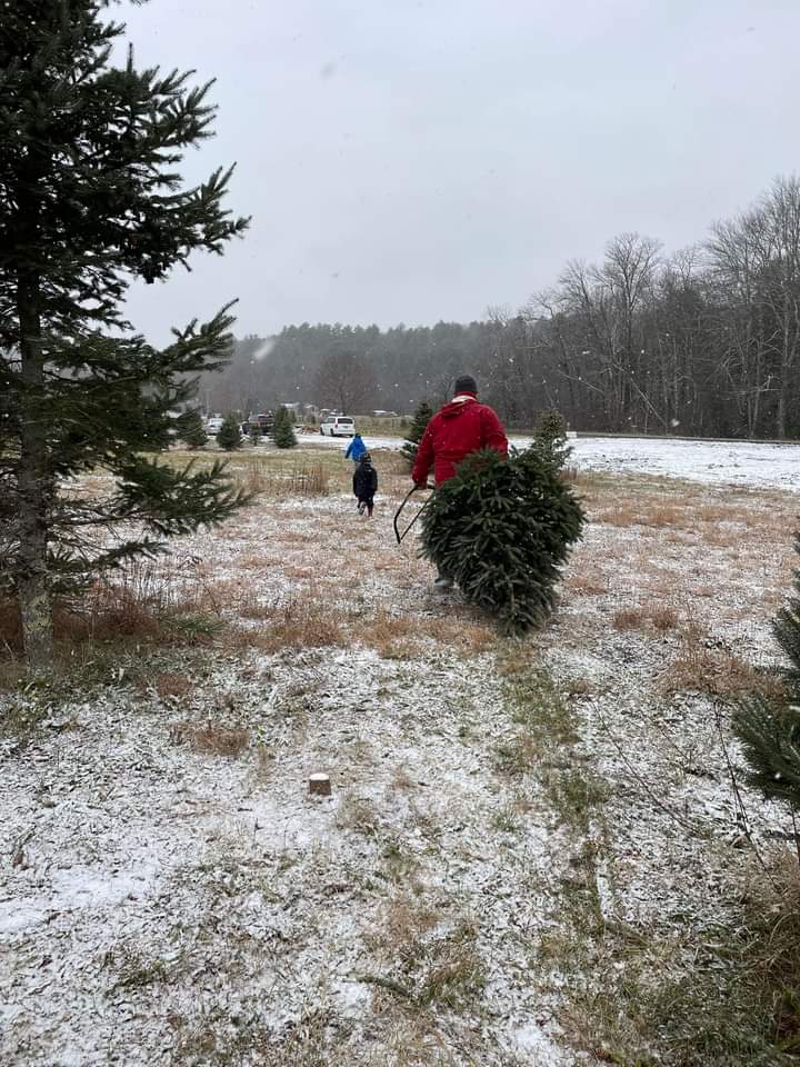 Bakerville Tree Farm in New Hartford, Connecticut