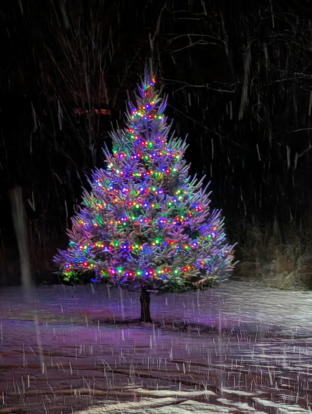 Balsam Acres in Worcester, Vermont