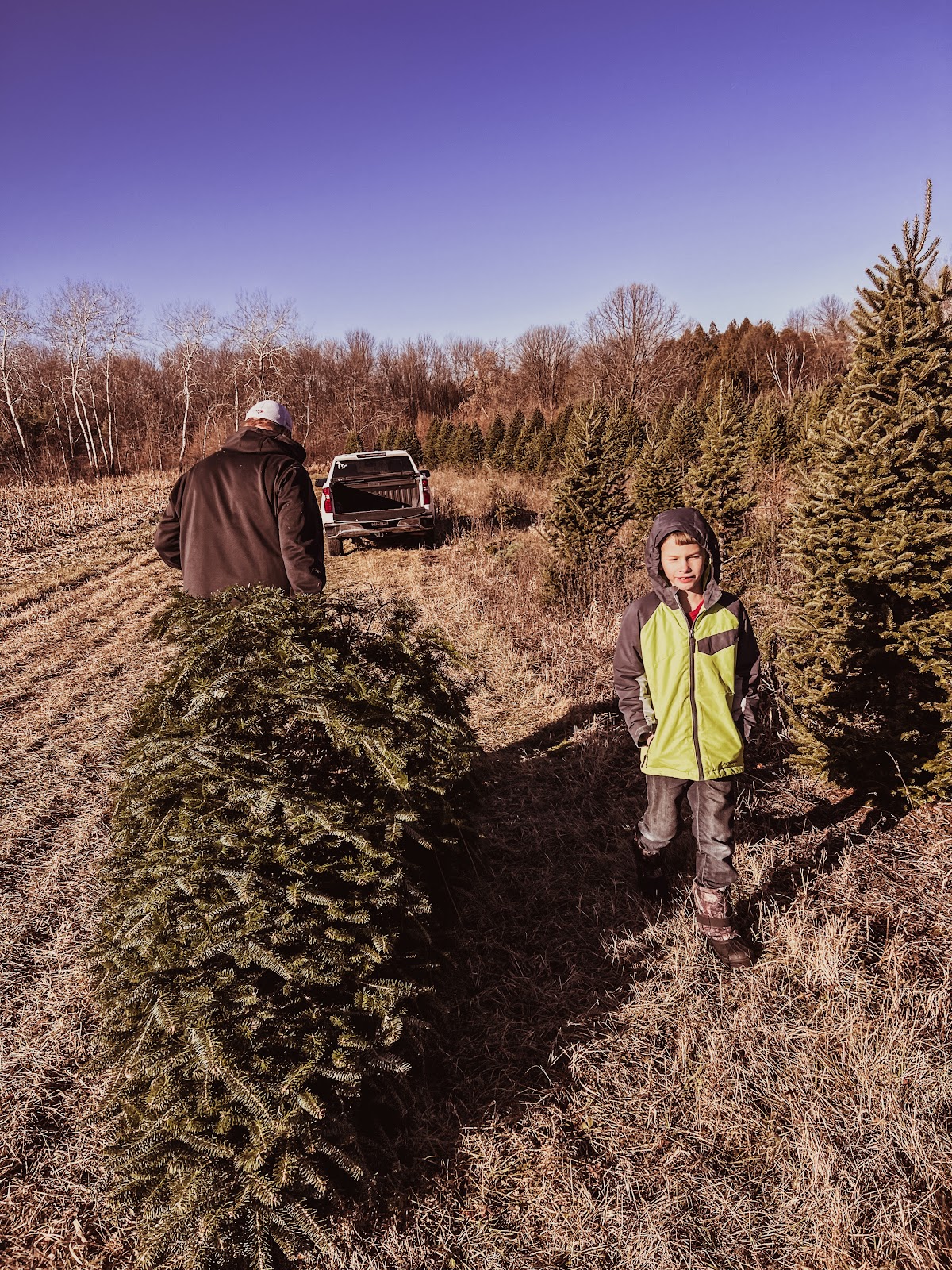 Balsam Creek Lane Tree Farm in Bear Creek, Wisconsin