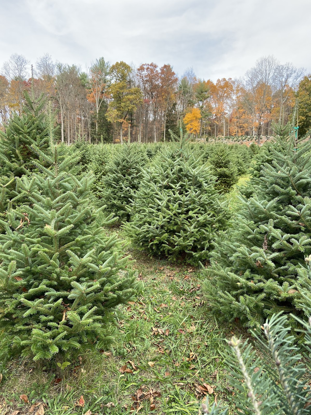 Barry Farms, LLC in Harwinton, Connecticut
