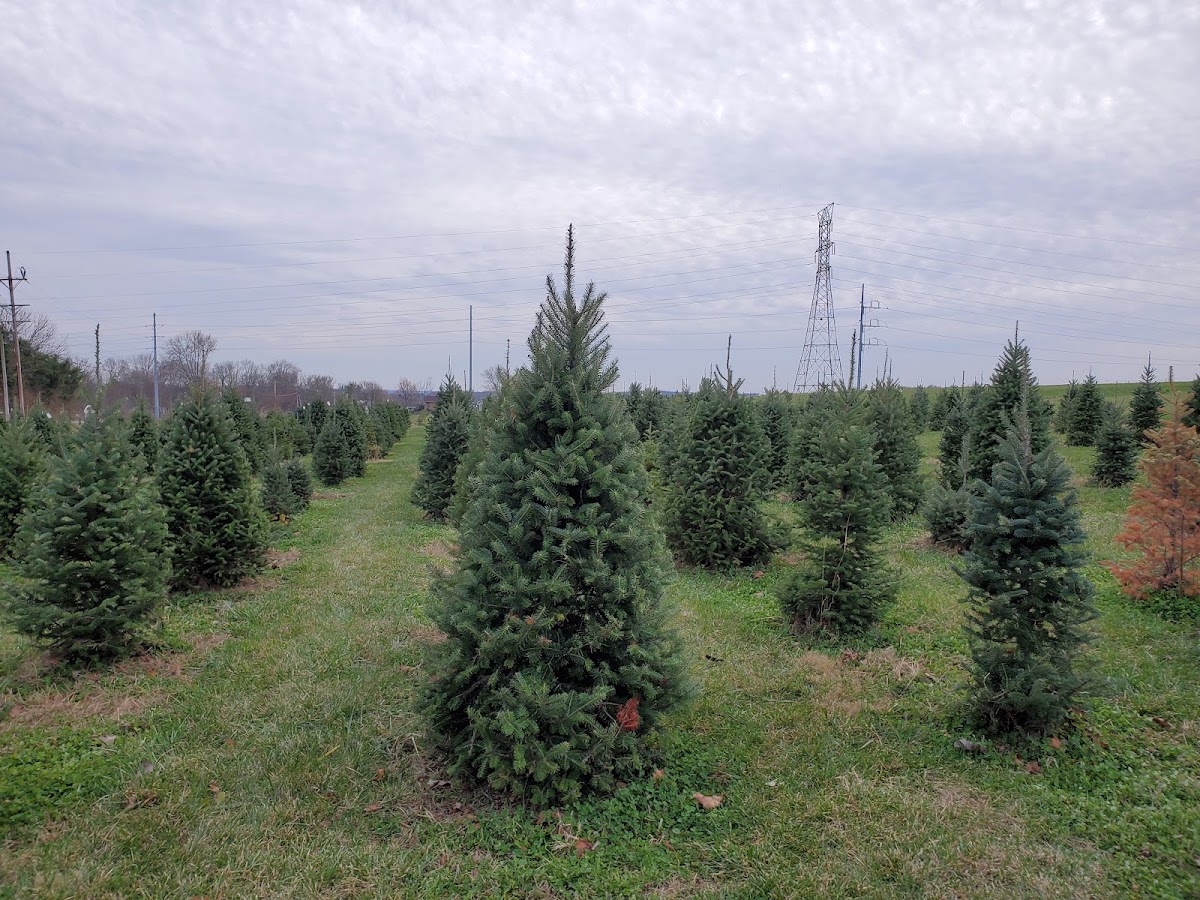 Bartels Farm in Hamilton, Ohio