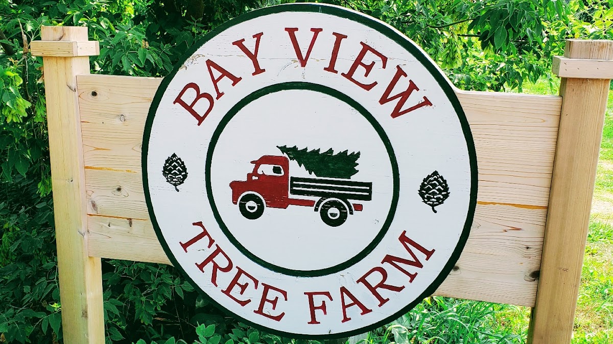 Bay View Tree Farm in Luxemburg, Wisconsin