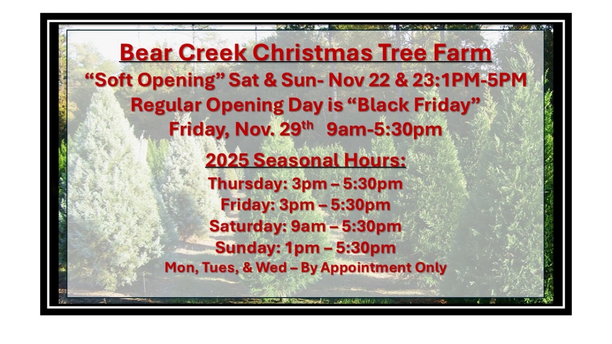 Bear Creek Christmas Tree Farm in Chapin, South Carolina
