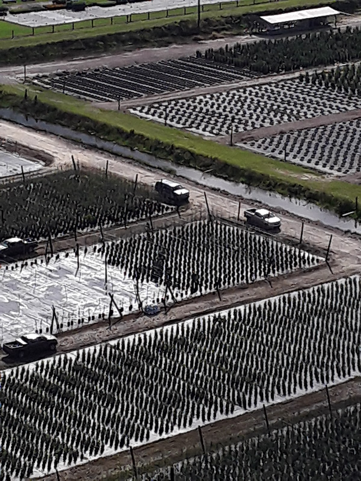 Becker Tree Farm in Hobe Sound, Florida