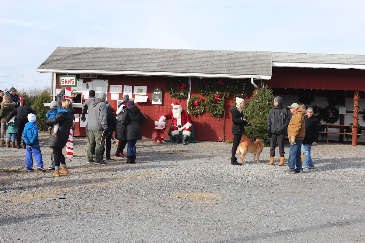 Becks Christmas Tree Farm in Slatington, Pennsylvania