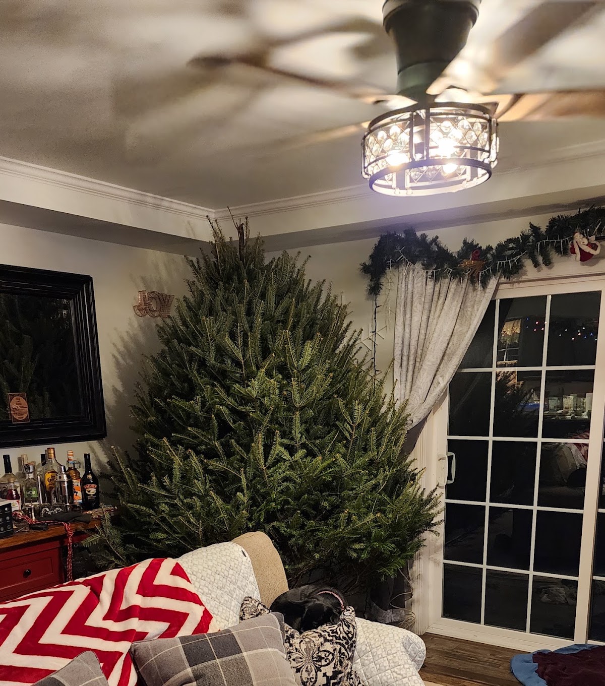 Belanger Tree Farm in Skowhegan, Maine