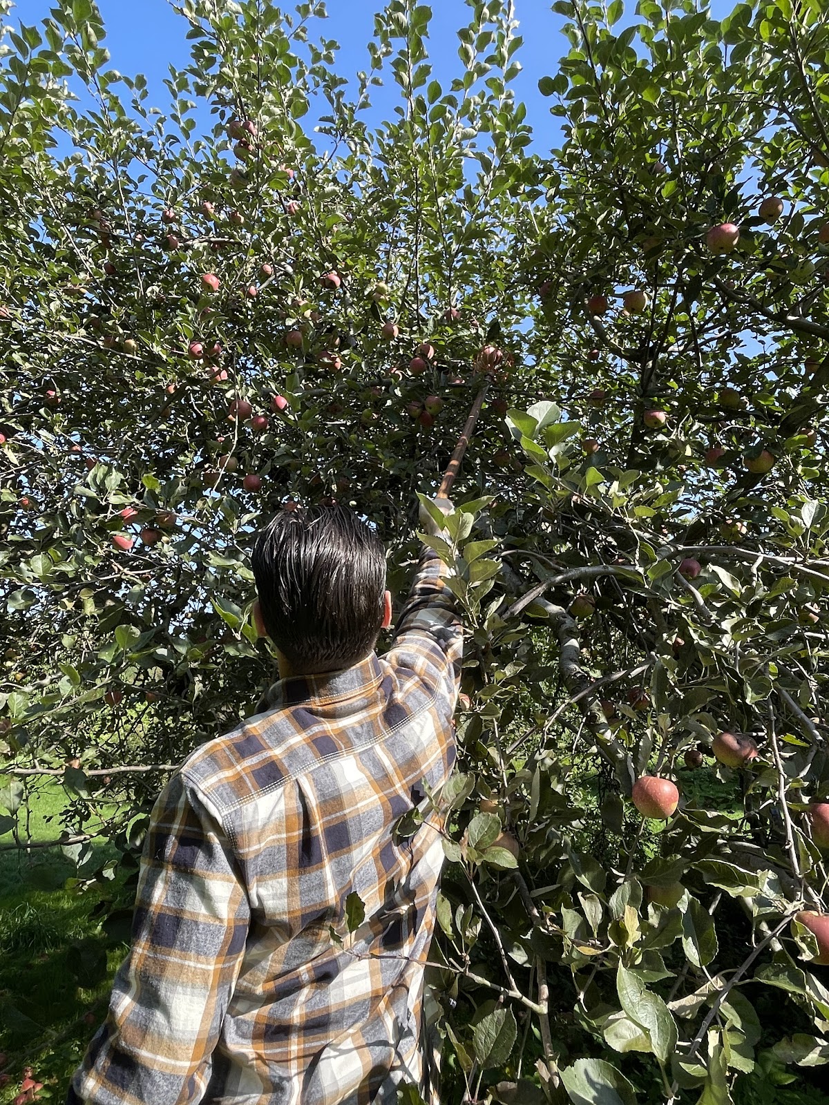 Belinsky Farm in Oxford, Connecticut