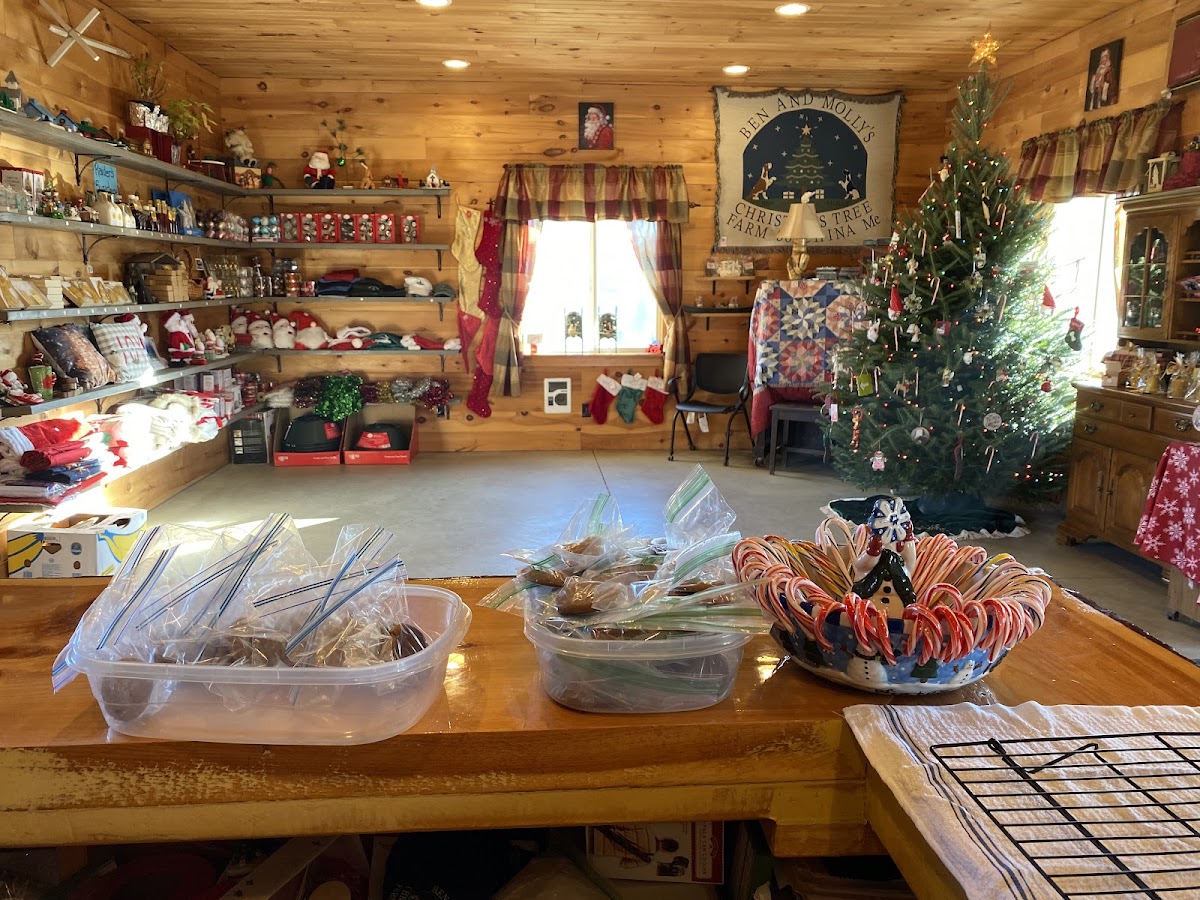 Ben & Molly's Christmas Tree Farm in China, Maine