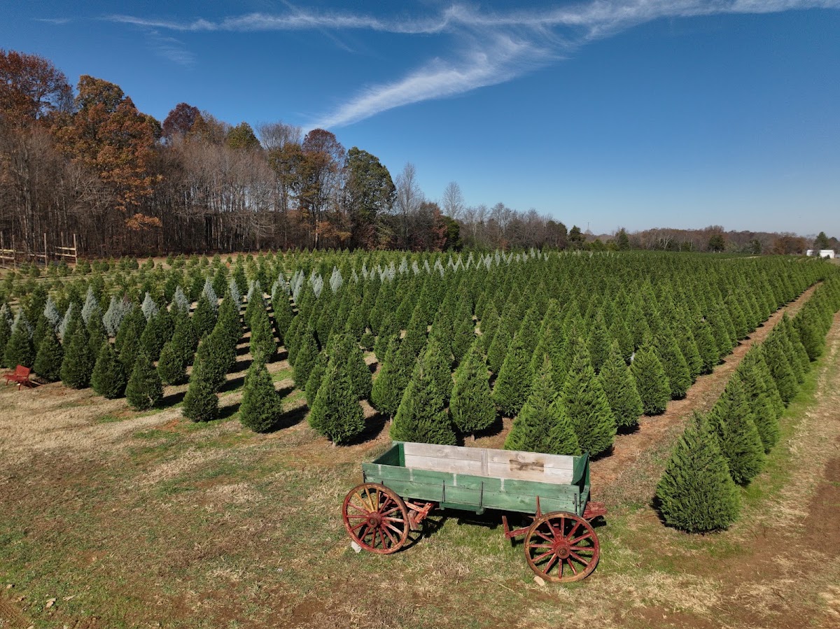 Big Sky Farm TN in Portland, Tennessee