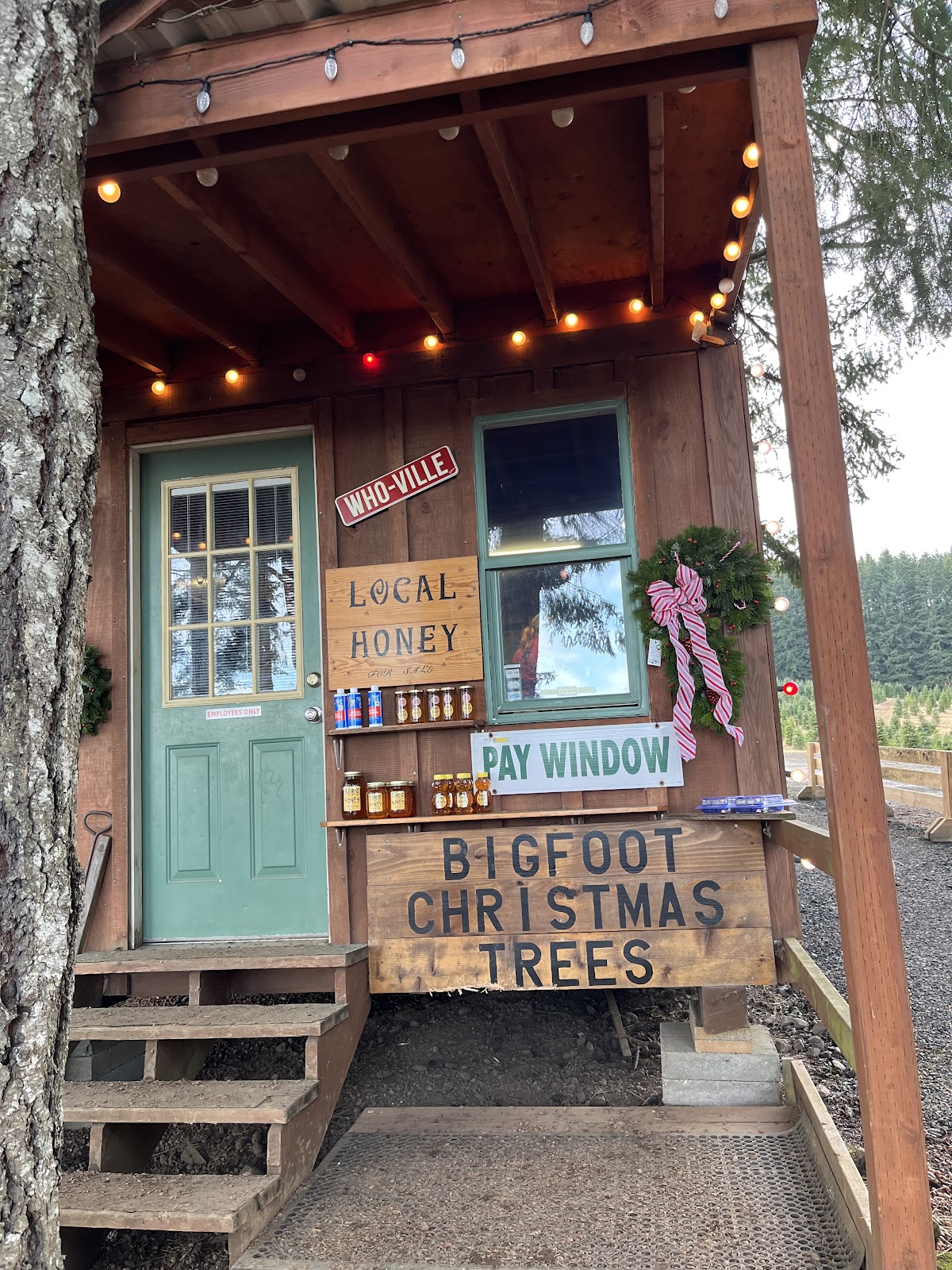 Bigfoot Christmas Trees in Dallas, Oregon