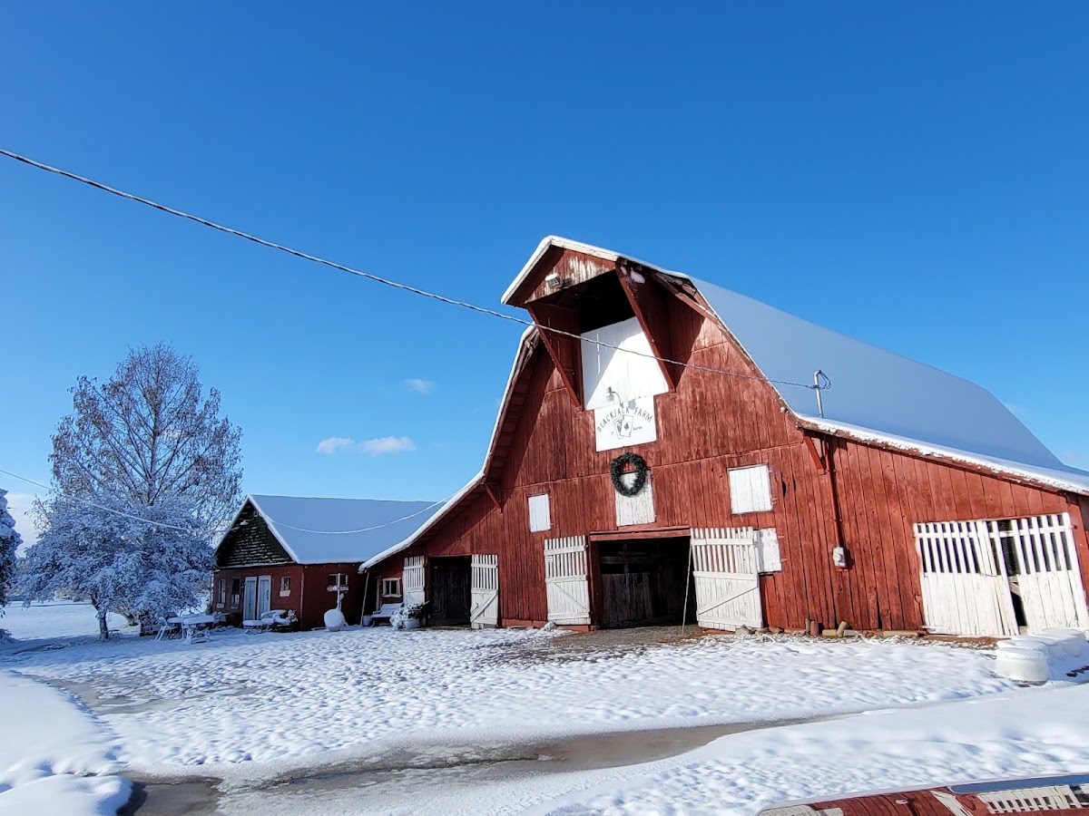 BLACKJACK FARM CHRISTMAS TREES in Shelbyville, Tennessee