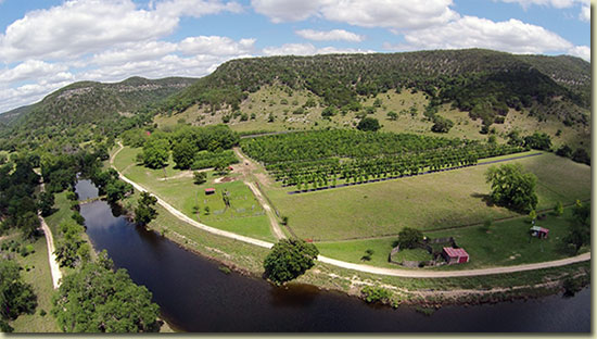 Blanket Creek Tree Farm in Utopia, Texas