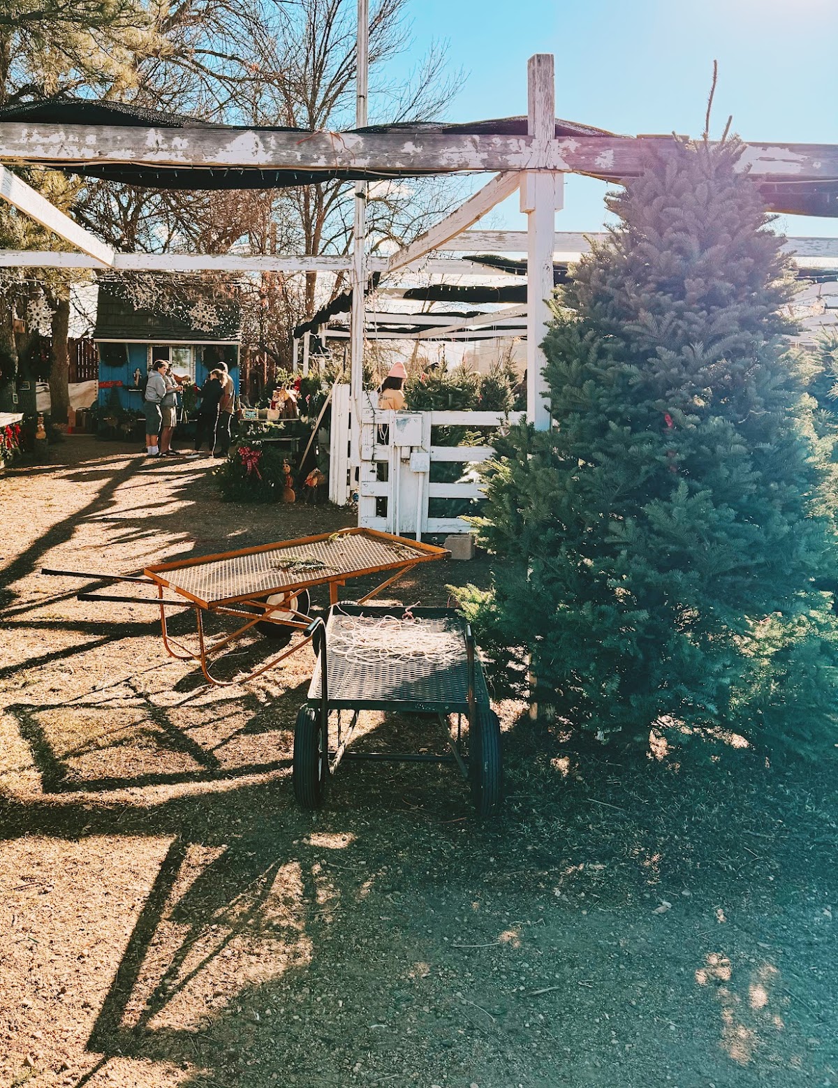 Blue Ribbon Farm in Longmont, Colorado