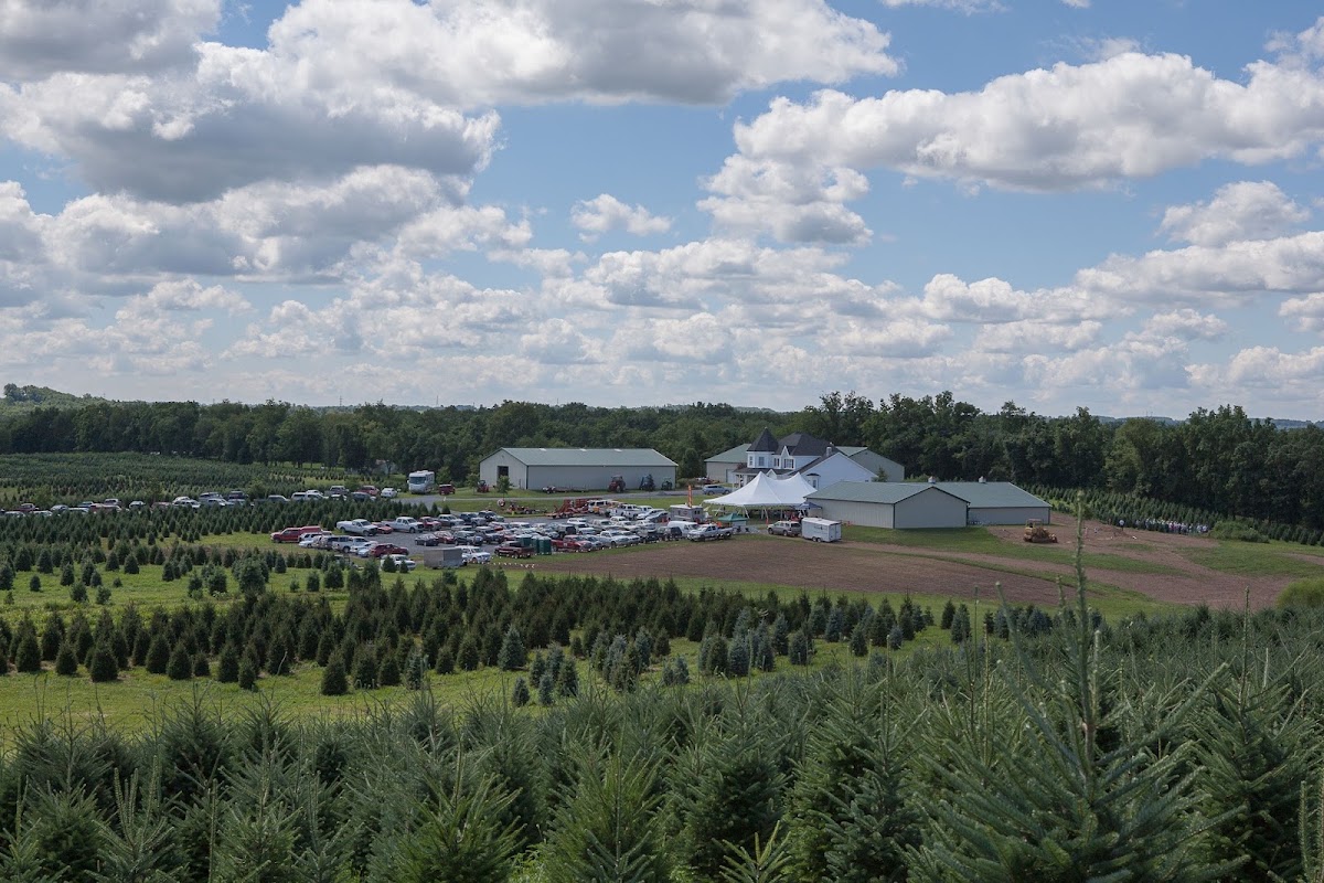 Blue Ridge Christmas Tree Farm in Annville, Pennsylvania