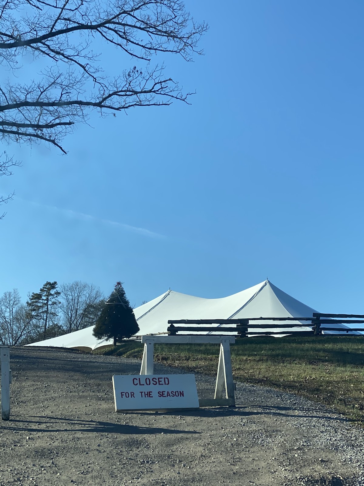 Bluebird Christmas Tree Farm in Heiskell, Tennessee