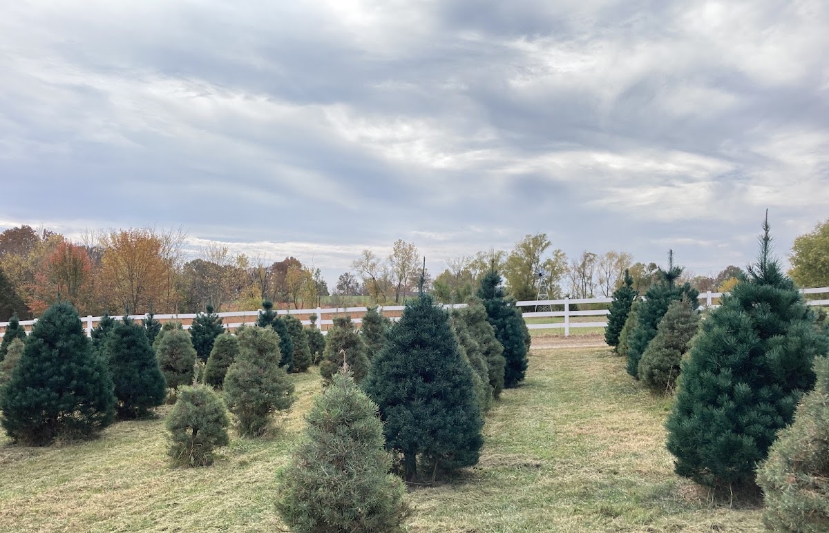 Bollinger Farms in Bonne Terre, Missouri