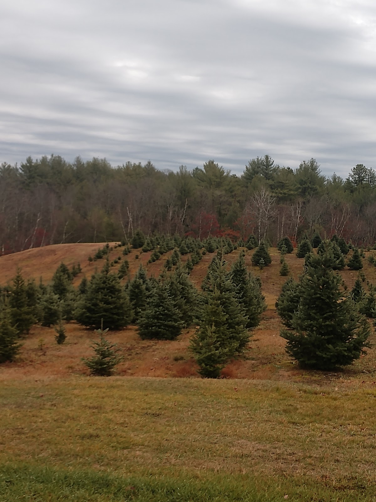 BOND MOUNTAIN ACRES in Newfield, Maine