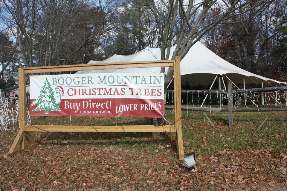 Booger Mountain Christmas Trees in Raleigh, North Carolina