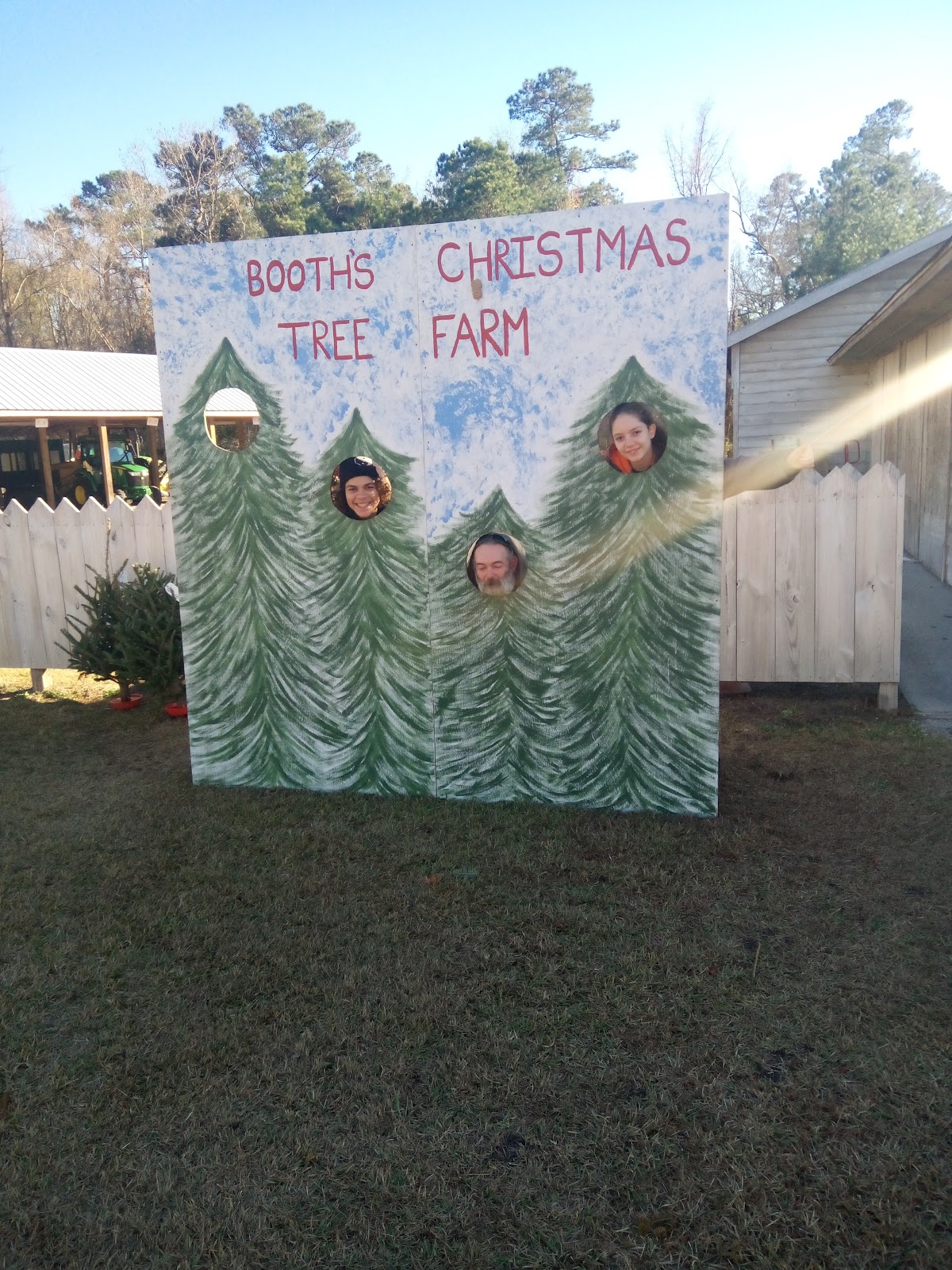 Booth's Christmas Tree Farm in Conway, South Carolina