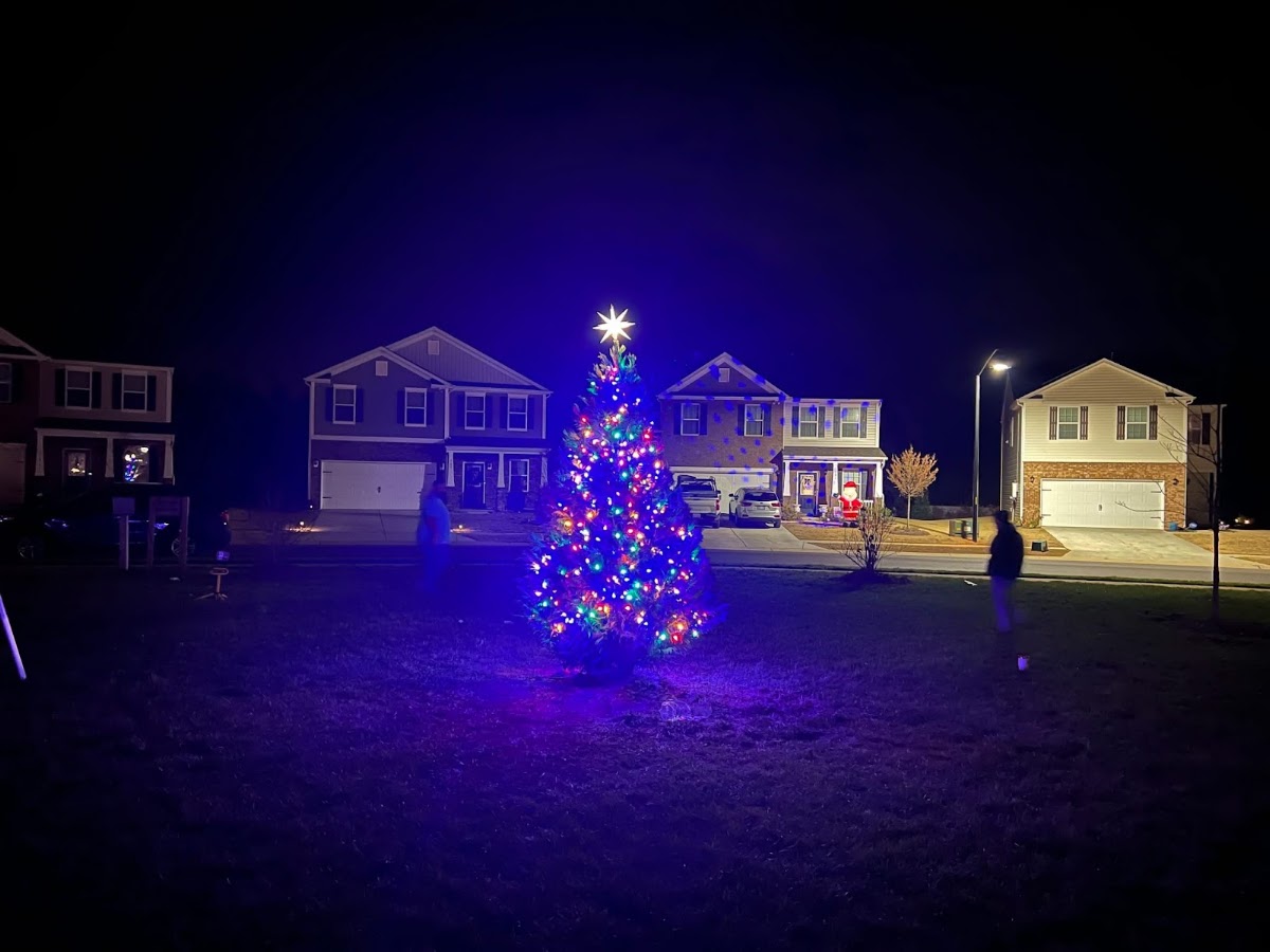 Boshamer Farms Christmas Tree in Clover, South Carolina