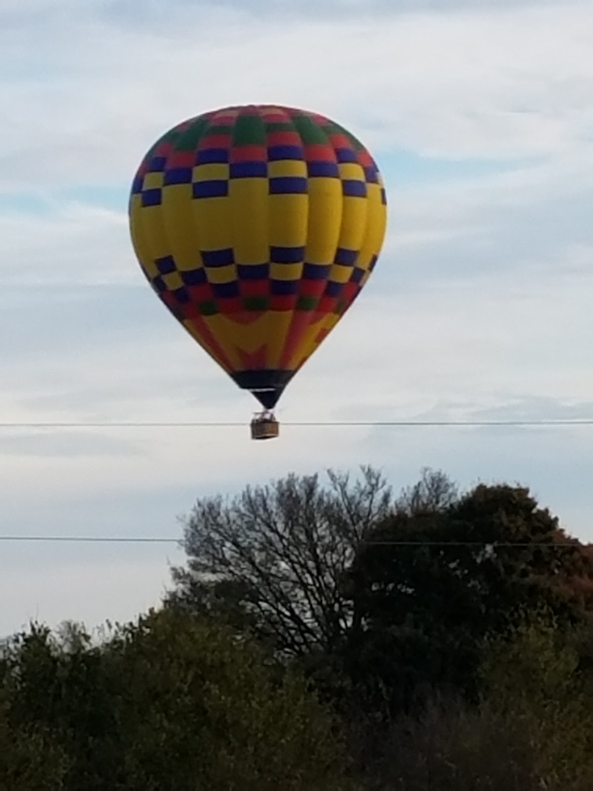 Brentwood Tree Farms in Franklin, Tennessee