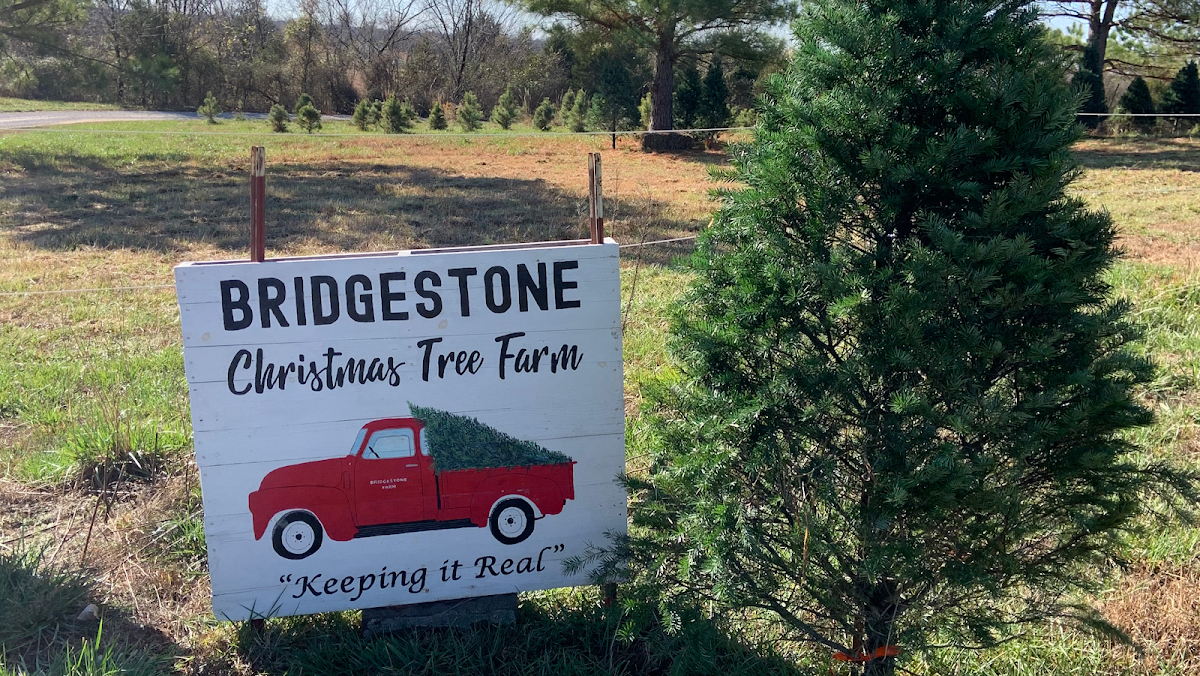Bridgestone Christmas Trees in Webb City, Missouri