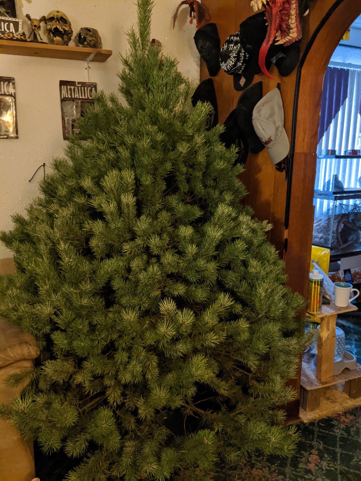 Broeckers Christmas Tree Farm in Lapeer, Michigan