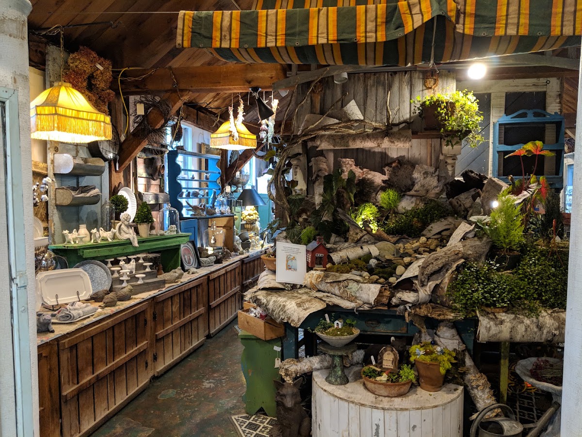 Brookdale Fruit Farm Inc. in Hollis, New Hampshire